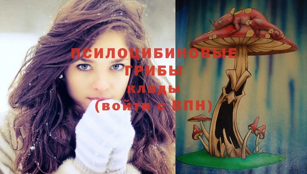 mix Белокуриха