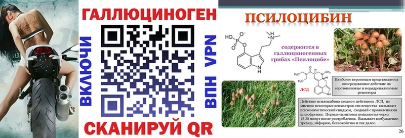 закладка Волчанск Галлюциногенные грибы Magic Shrooms